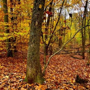 Meet your Posher, Christy